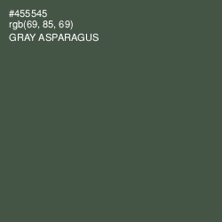 #455545 - Gray Asparagus Color Image